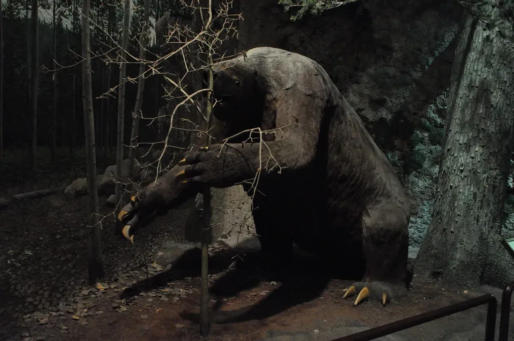 Why Do Dinosaurs Get All the Fame While Giant Sloths Get Ignored? (bobosh_t, Flickr, CC BY-SA 2.0)