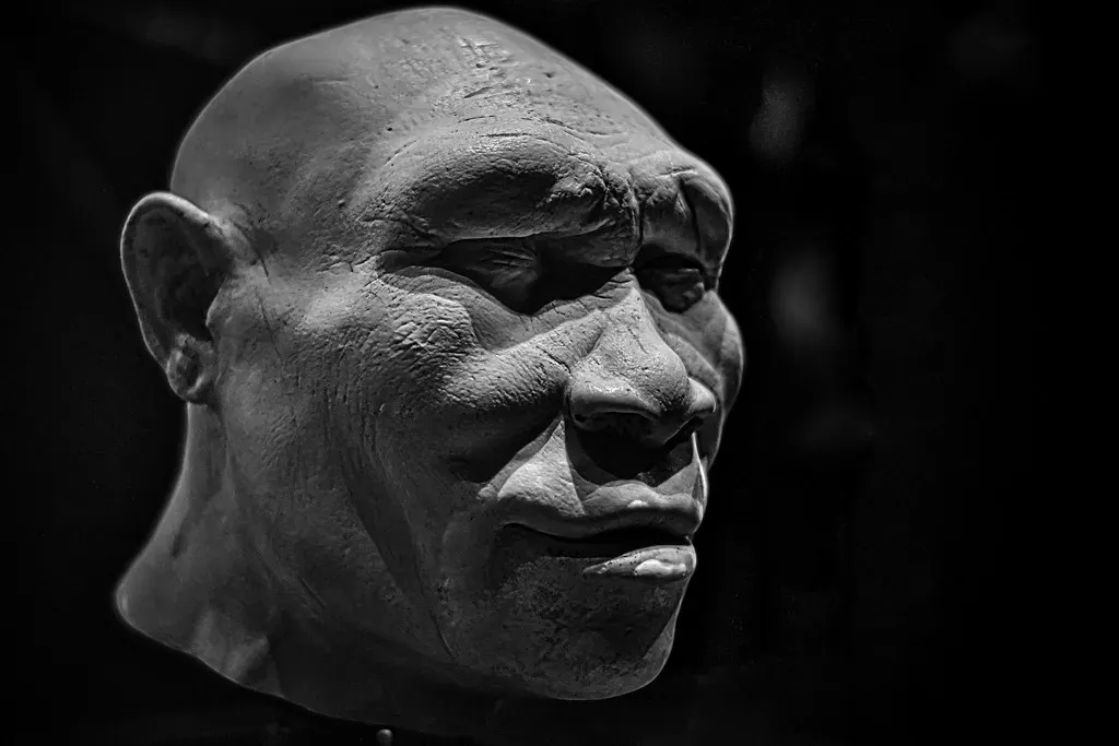 1. You Carry the Story of a Global Journey That Began in Africa (Werner Ustorf, Flickr, CC BY-SA 2.0)