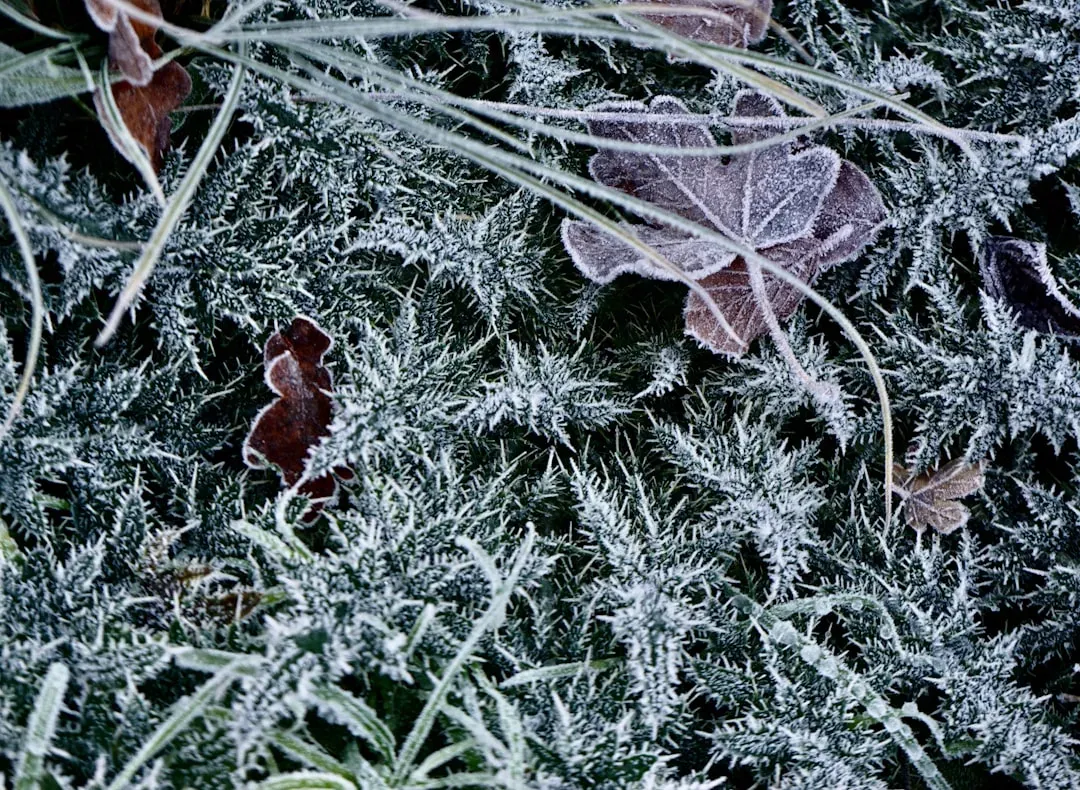 Conclusion (Image Credits: Unsplash)