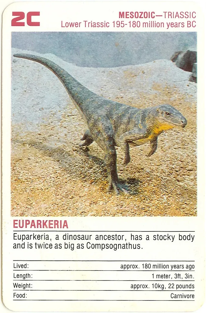 A World Recovering From Catastrophe: The Triassic Stage Is Set (Orin Zebest, Flickr, CC BY 2.0)