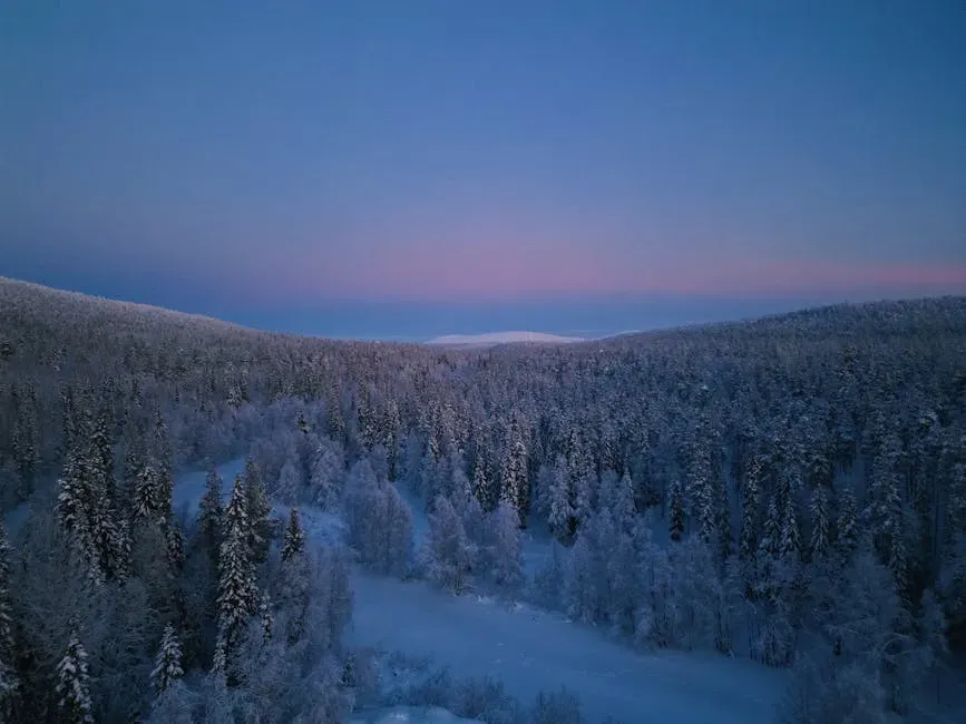 Polar Forests and High-Latitude Woodlands (Image Credits: Pexels)