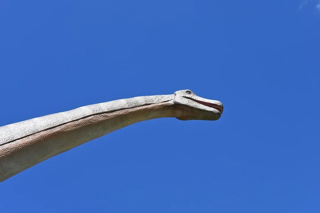 6. Long Necks That Turned Plants into Endless Buffets (Image Credits: Unsplash)