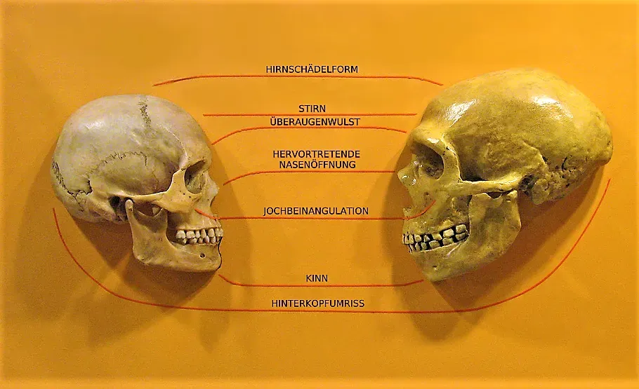 7. Homo sapiens Out of Africa: The Timeline Keeps Shifting (By hairymuseummatt (original photo), KaterBegemot (derivative work), CC BY-SA 2.0)