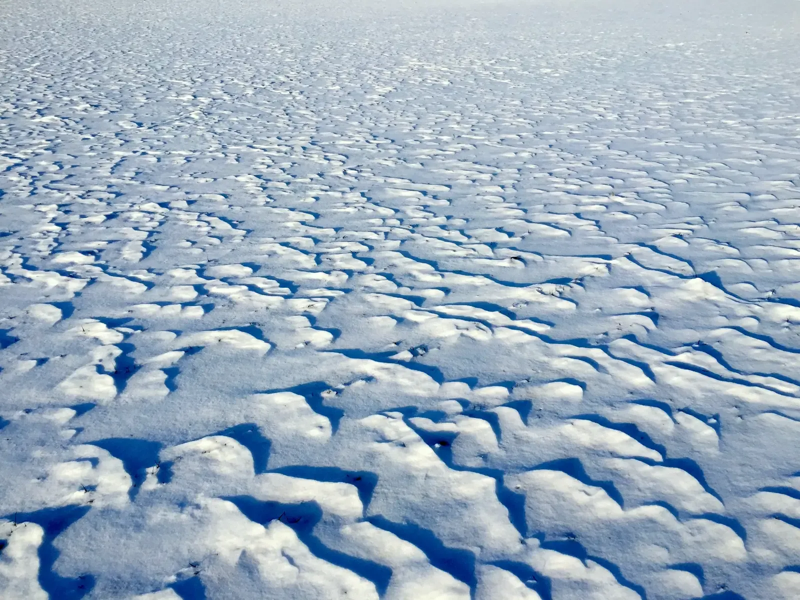 #5 Snow Cornices, Sastrugi, and Frozen Ridges (Snow, CC BY 2.0)
