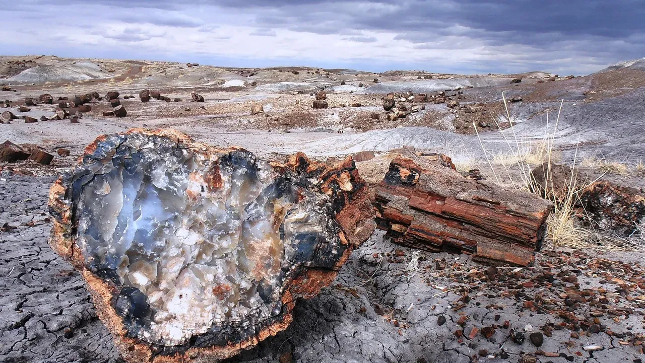 Petrified Forest National Park, Arizona: Millions of Years Frozen in Wood and Stone (Image Credits: Pixabay)