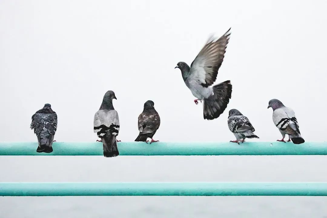 Conclusion: Birds As Living Dinosaurs, Mammals As The Newcomers (Image Credits: Unsplash)