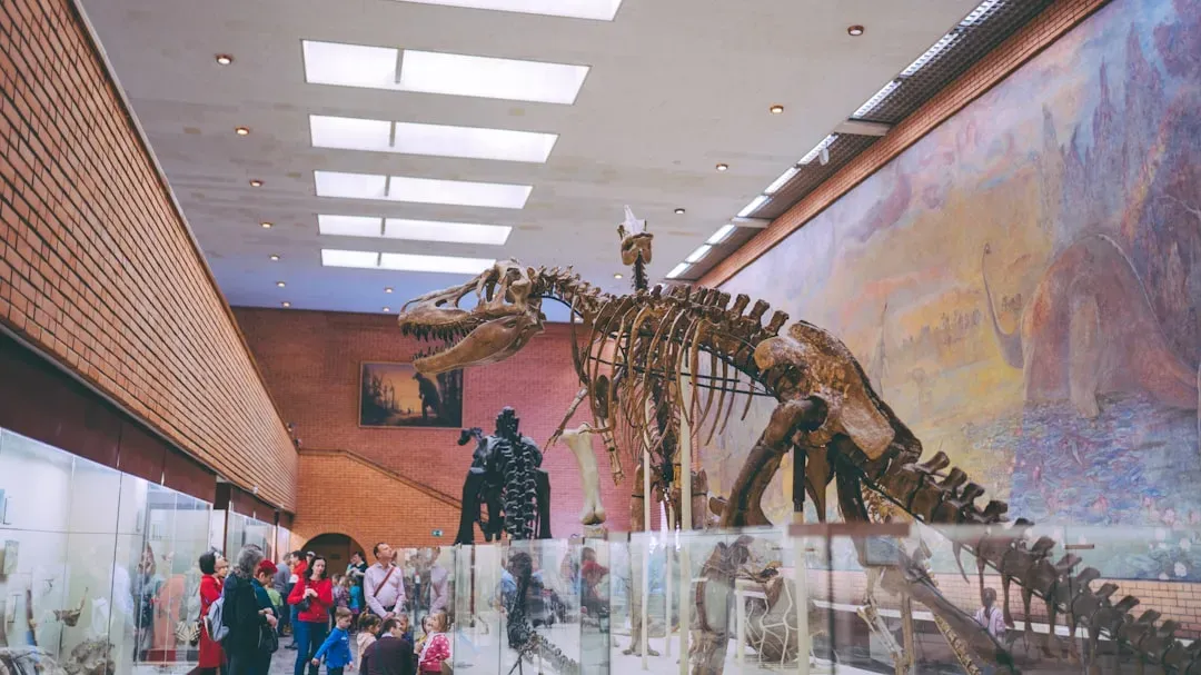The New York T. rex That Dragged Its Tail Like a Giant Lizard (Image Credits: Unsplash)
