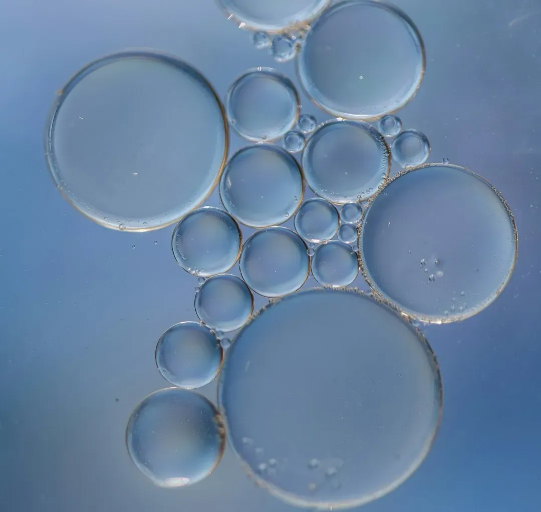 When the oxygen bubble burst: shifting climates and collapsing coal swamps (Image Credits: Unsplash)