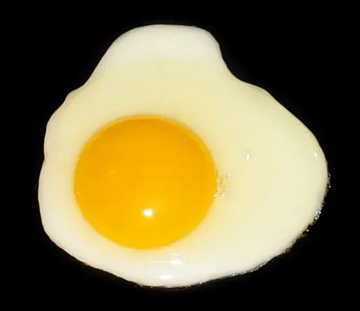 #6: The Yolk Is an Immune Toolkit, Not Just a Fat Blob (The egg is a Lucerne brand large grade AA, American.  It is shown being cooked on a non-stick (probably Teflon) pan., Public domain)