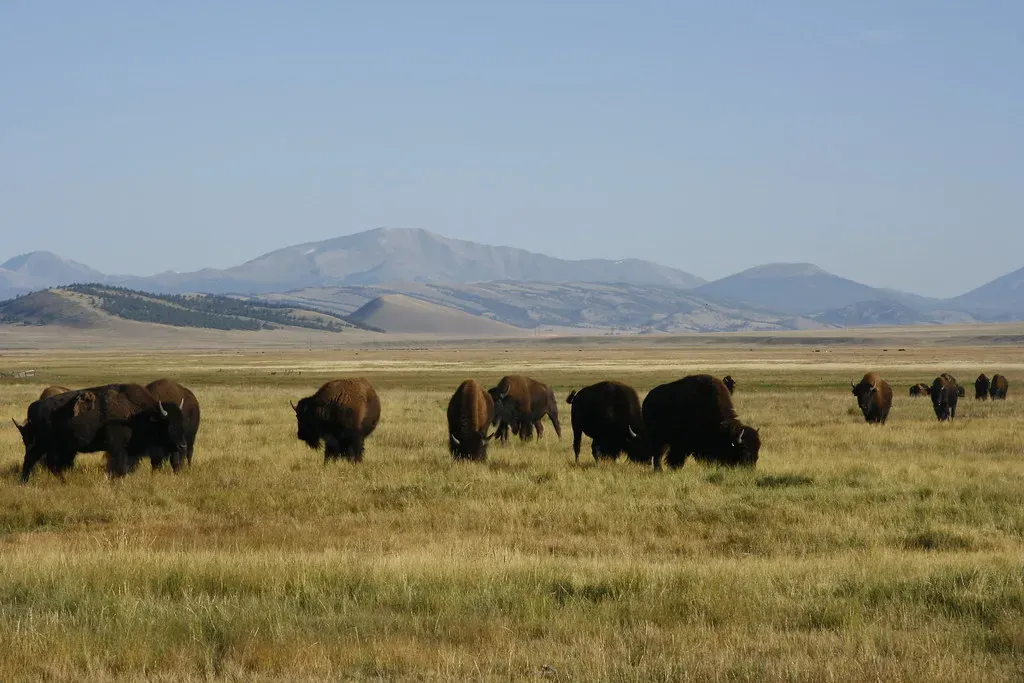 Conclusion (markbyzewski, Flickr, CC BY 2.0)