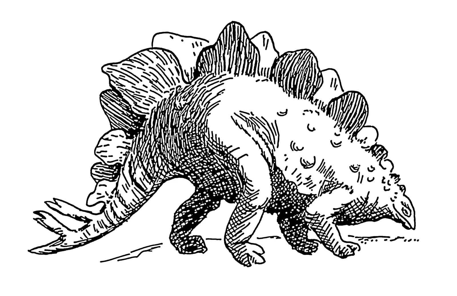 #5 - It Could Rear Up on Two Legs to Reach Food You Never Pictured It Eating (This image has been extracted from another file, Public domain)