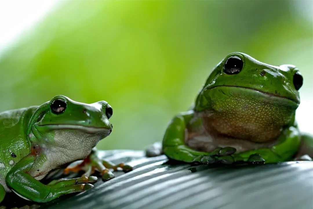 9. The “Frogs Made Them Change Sex Overnight” Explanation (Image Credits: Unsplash)