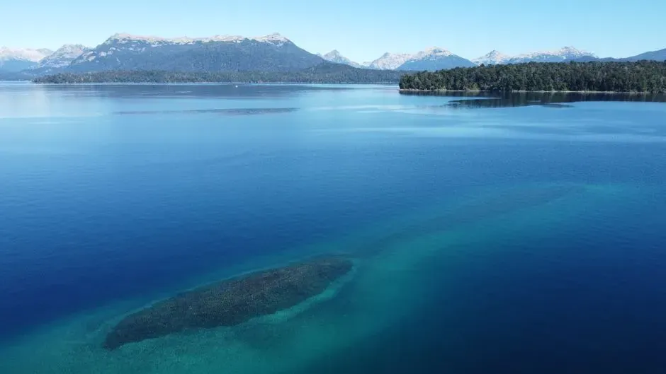 A Jurassic Park, But Make It Saltwater: Life Inside the Seaway (Image Credits: Pexels)
