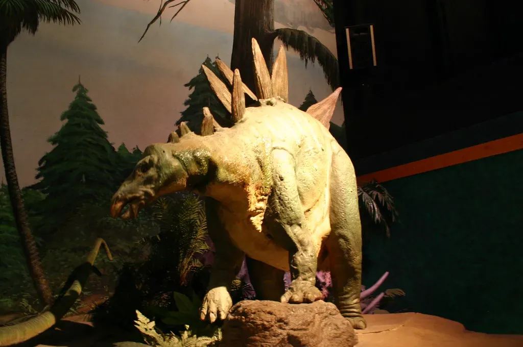 The Actual Function of Stegosaurus Plates (Image Credits: Flickr)