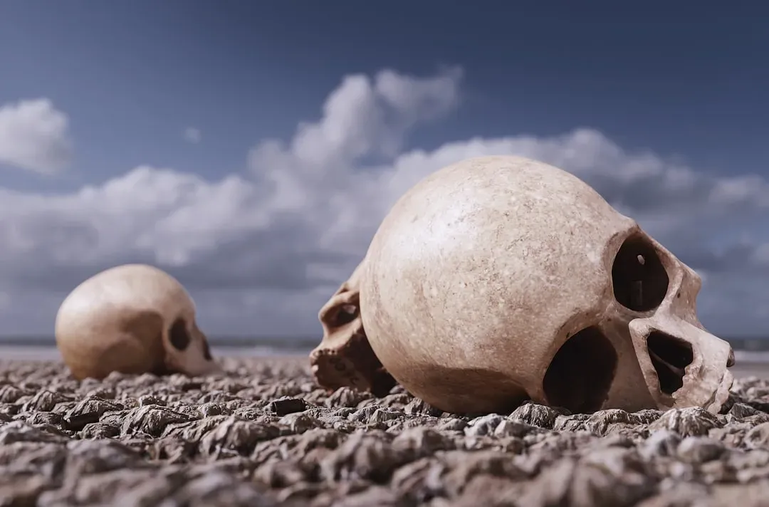 We Almost Went Extinct More Than Once (Image Credits: Unsplash)