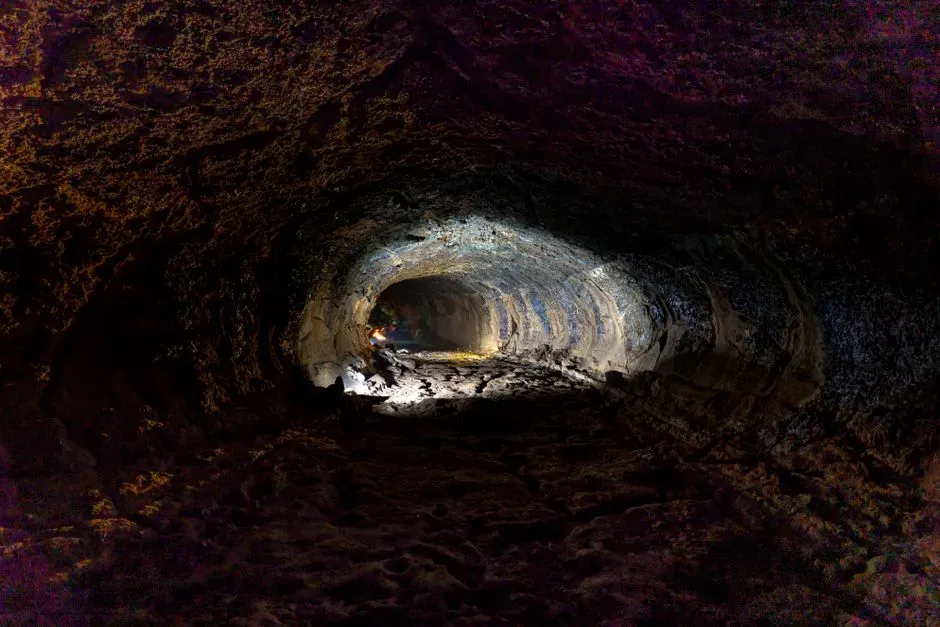 Tunnels Big Enough for You to Walk Through (Image Credits: Pexels)