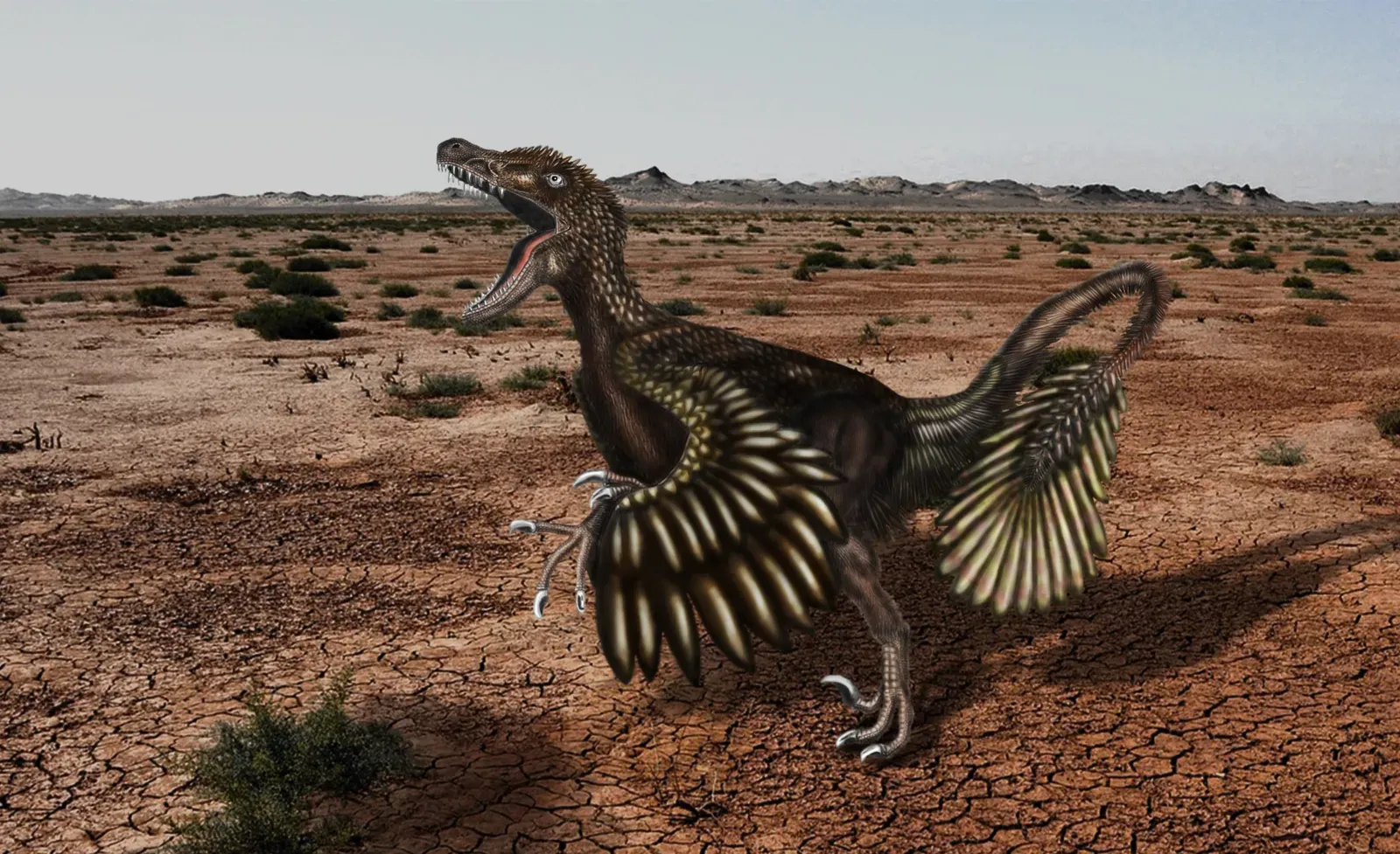 #9 - Velociraptor: The Jurassic Park Myth That Refuses to Die (Image Credits: Wikimedia)