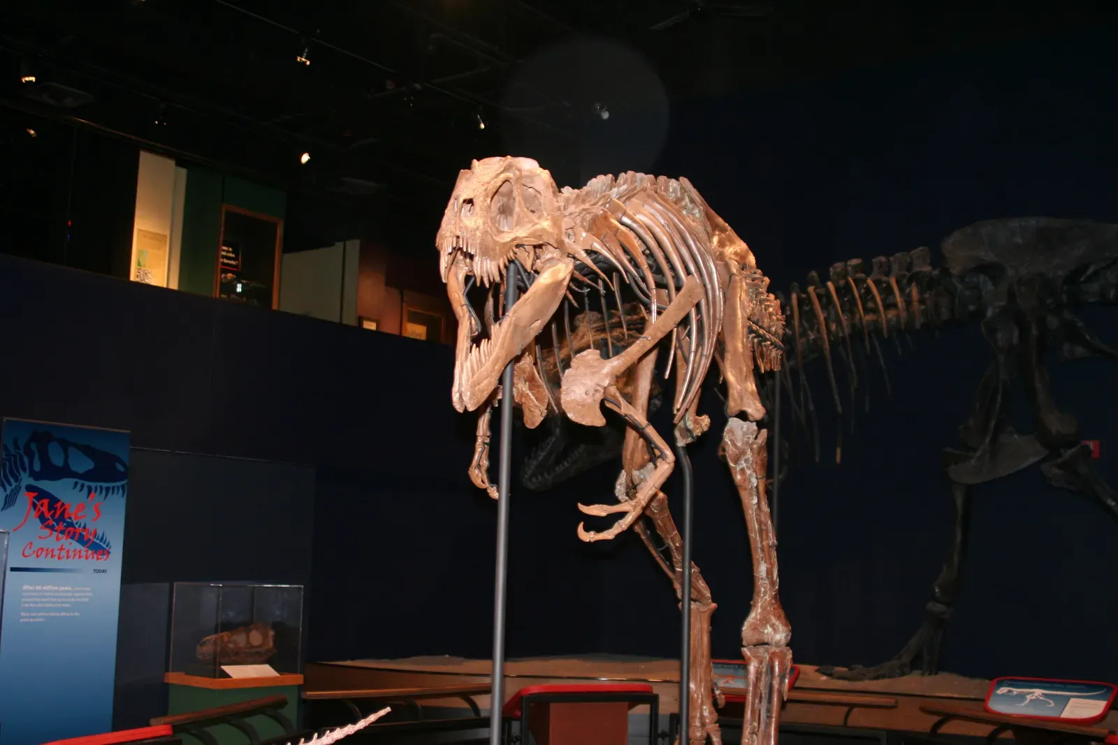 A Slower Path to Dominance (Image Credits: Wikimedia)