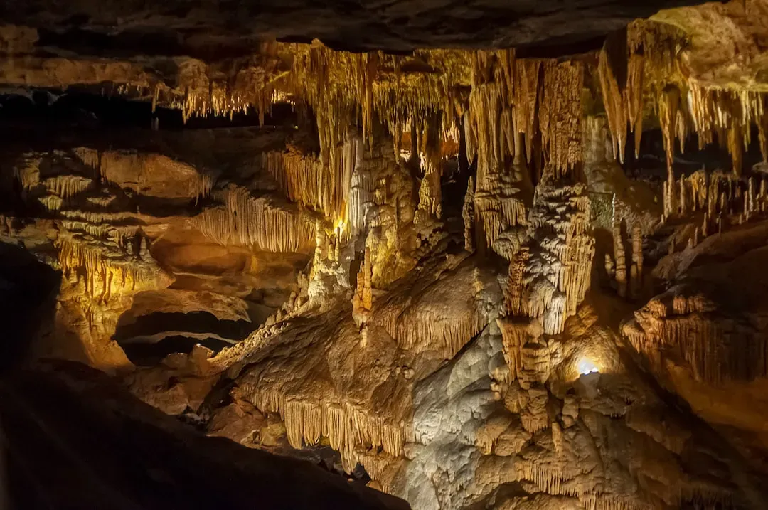 Life in the dark: microbes that never saw the sun (Image Credits: Unsplash)