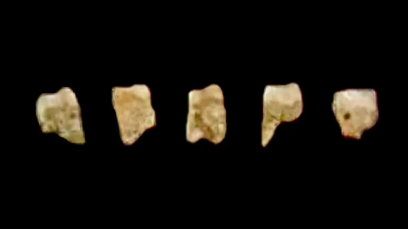 #6 - Homo luzonensis (Callao Cave, Philippines) (By Luzonensis, CC BY-SA 4.0)