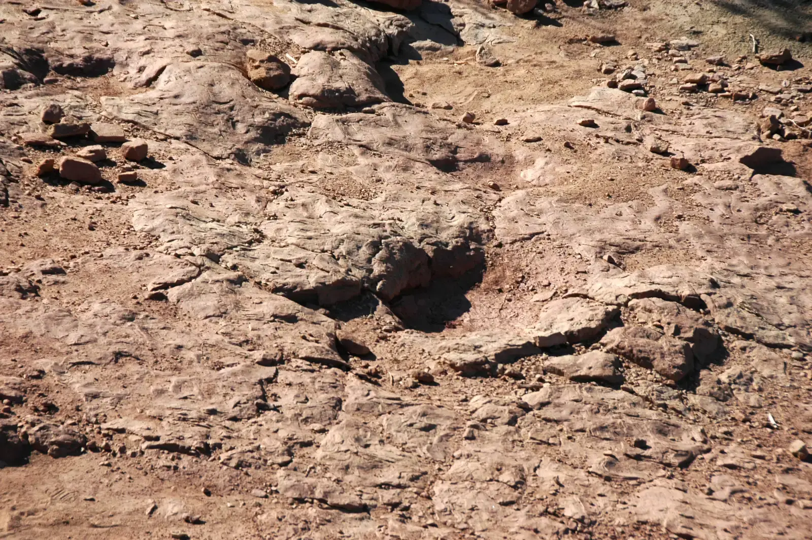 Trackways Are Rewriting the Rules of Dinosaur Movement (By James St. John, CC BY 2.0)