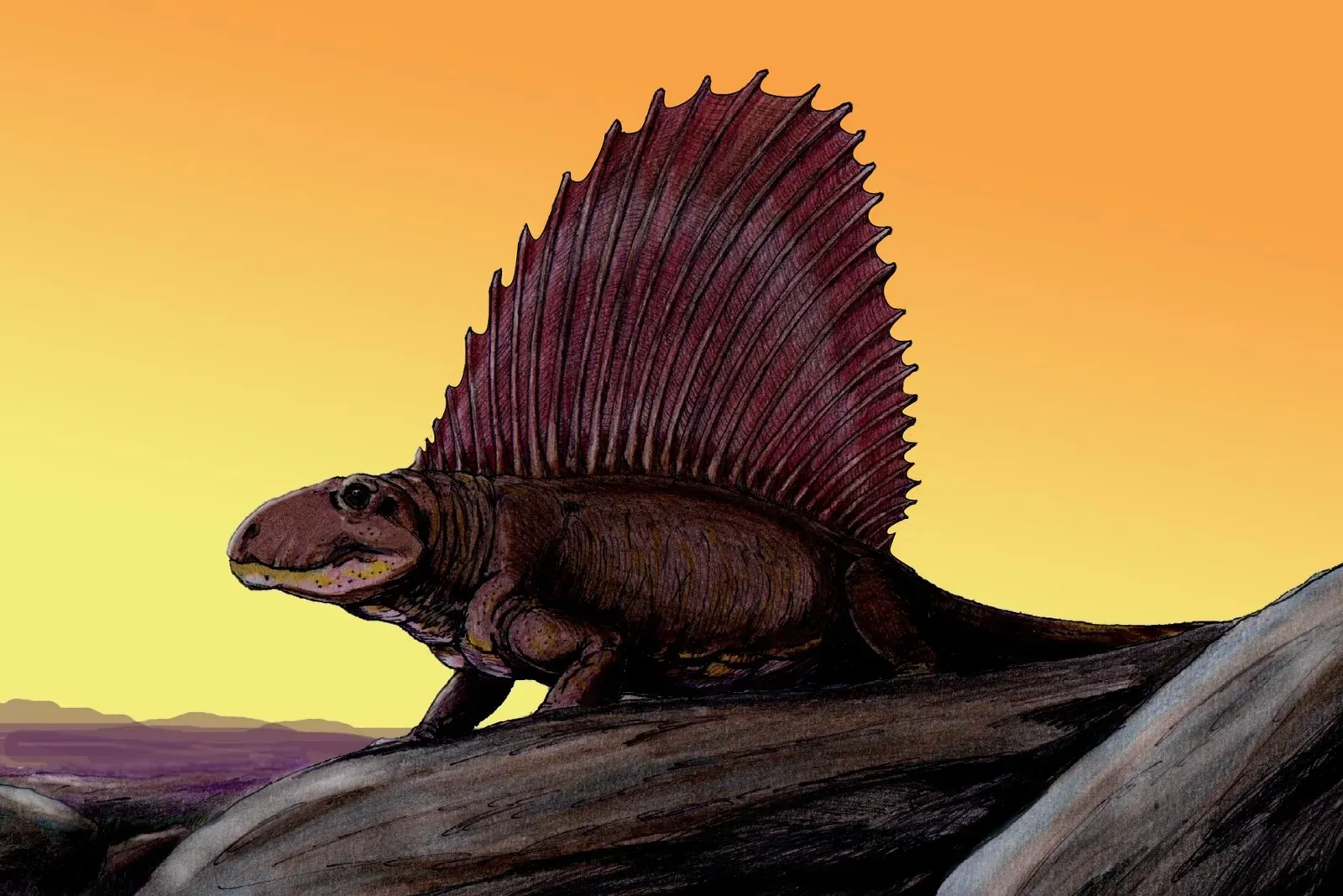 Dimetrodon: The First Terrestrial Apex Predator (Image Credits: Wikimedia)