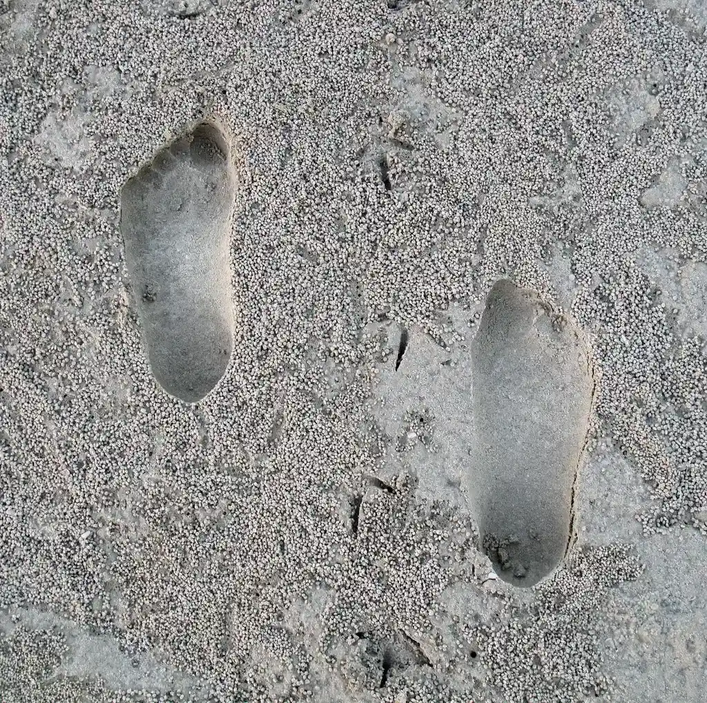 5. Recent trekkers, soldiers, and social media “yeti” footprints in the snow (Image Credits: Flickr)