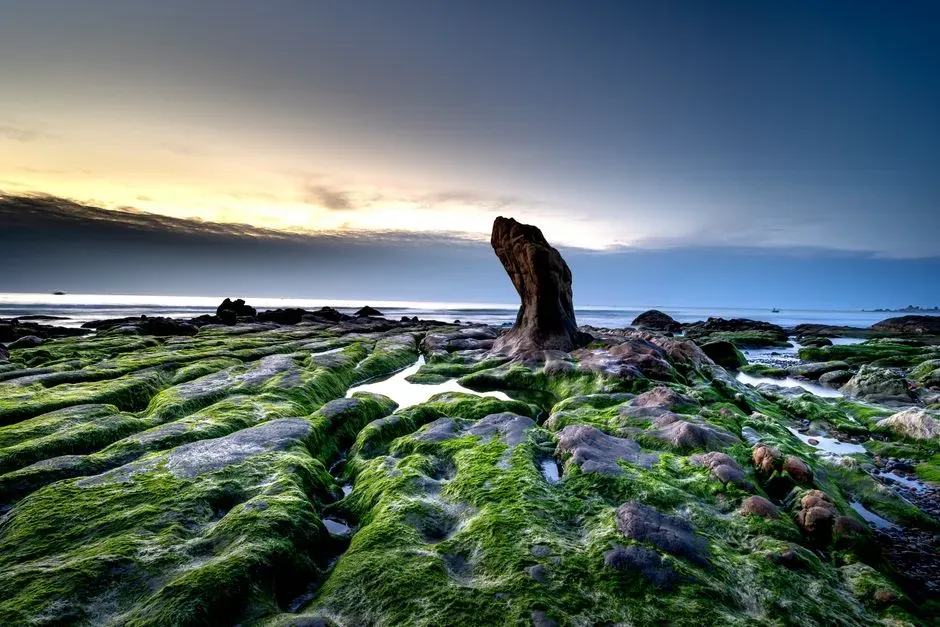Our Brains Are Not Designed For “Nature” In General, But For Specific Landscapes (Image Credits: Pexels)