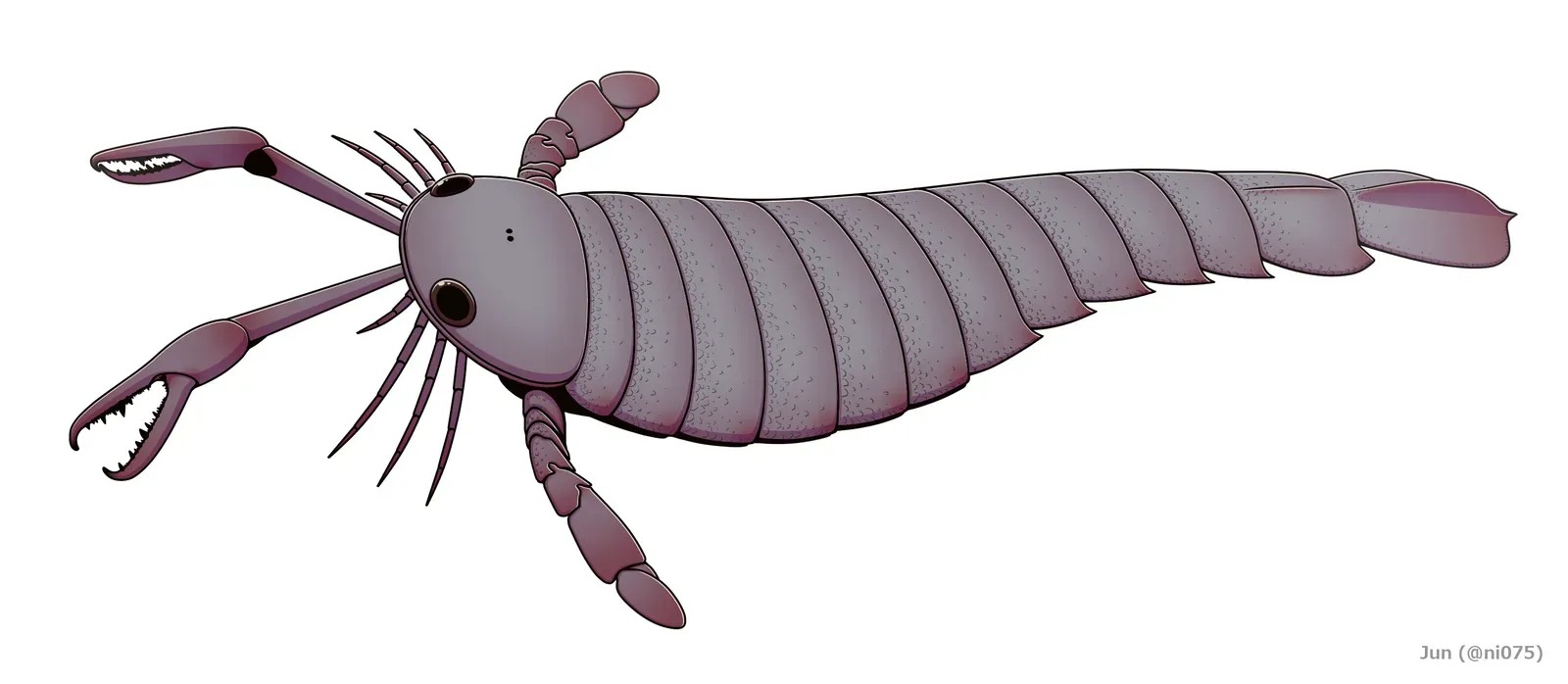 6. Pterygotus: The Sea Scorpion That Terrorized Ancient American Waters (By Junnn11, CC BY-SA 4.0)