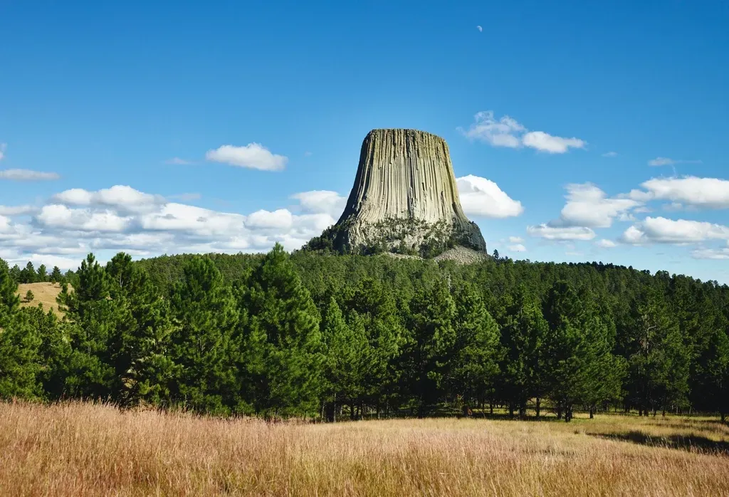 3. Devils Tower, Wyoming – A Frozen Magma Spine Revealed by Erosion (Image Credits: Rawpixel)