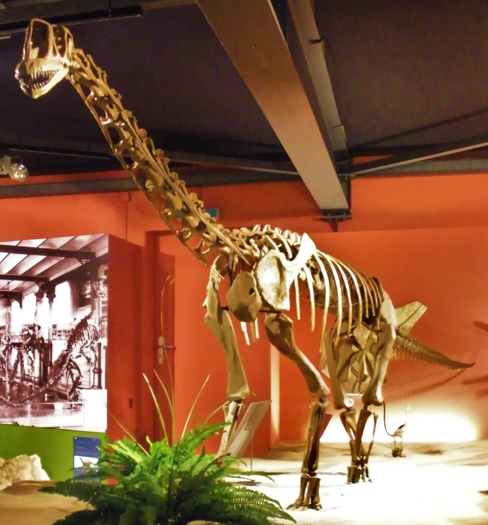 A Sauropod That Topped Out At “Only” About Six Meters (By Ghedoghedo, CC BY-SA 3.0)