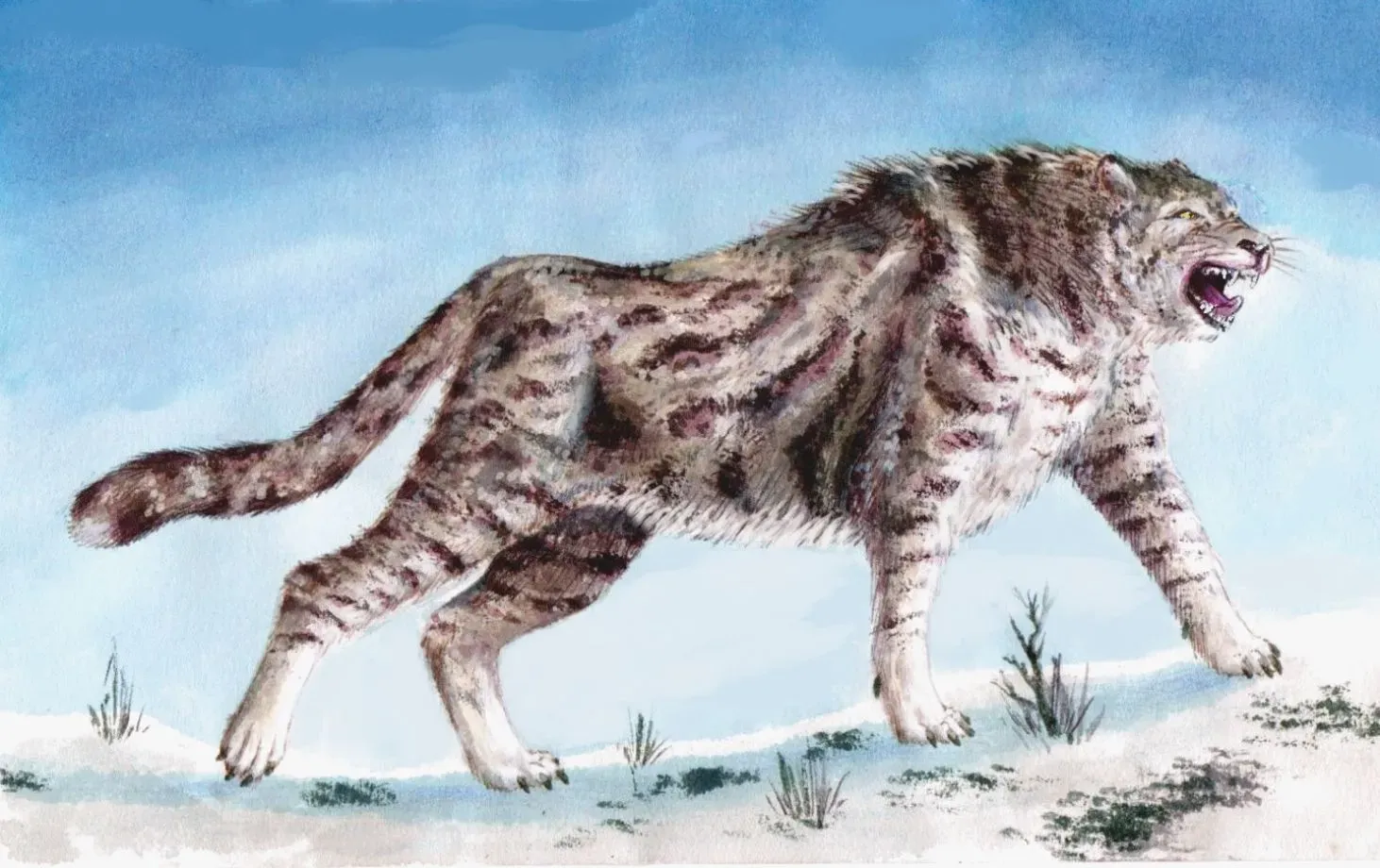 #16 - The American Cheetah That Wasn't Even a Cheetah (By Baperookamo, CC BY-SA 4.0)