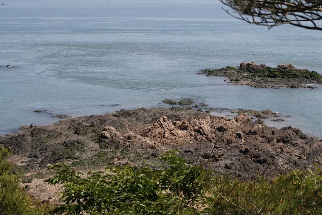 Coastal and Island Environments (Image Credits: Unsplash)