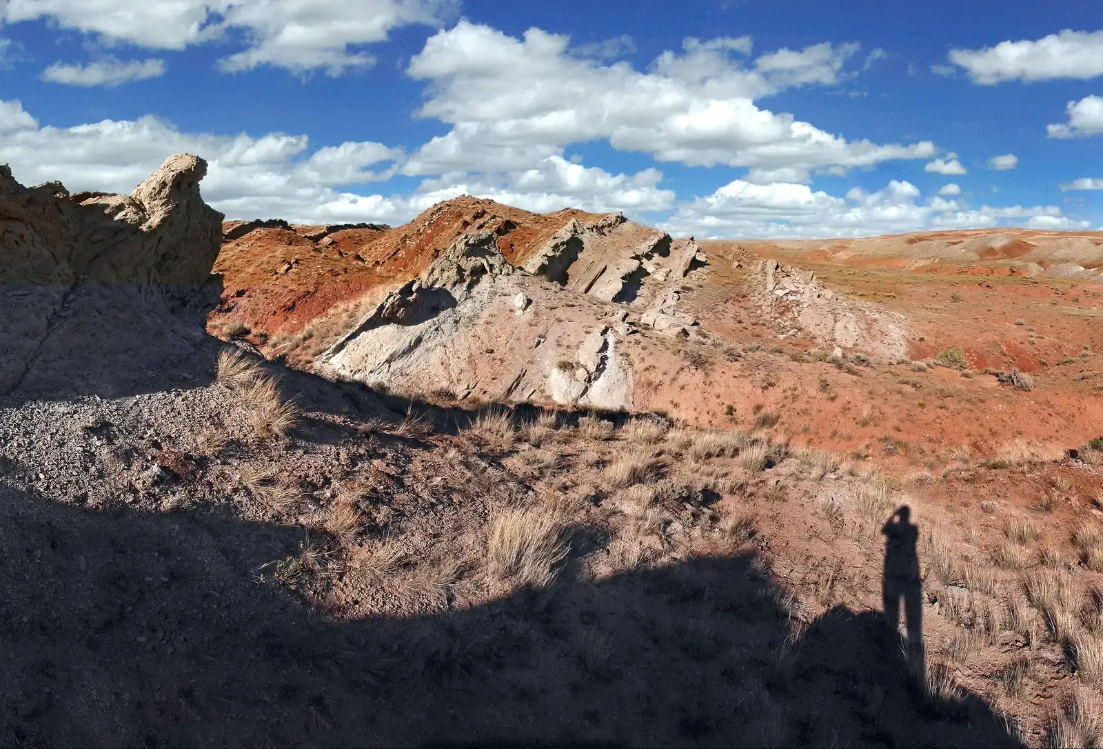 The Vast Floodplains: Where Herds and Hunters Roamed Free (Image Credits: Wikimedia)