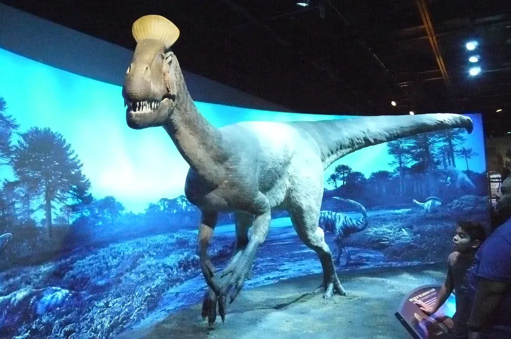 Meet the Antarctic Dinosaurs Themselves (edenpictures, Flickr, CC BY 2.0)