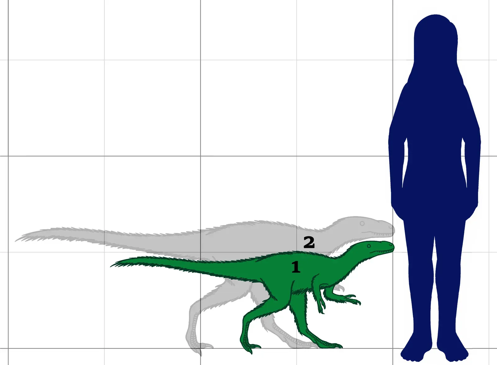 Small Dinosaurs We Actually Know Something About (By Conty, CC BY 3.0)