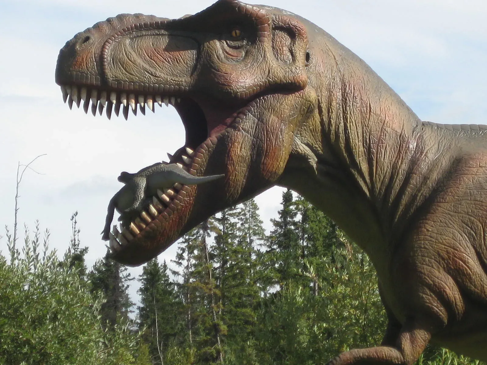 All Dinosaurs Had the Same Metabolism (Image Credits: Wikimedia)