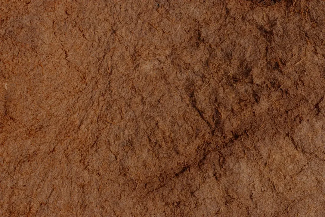 Soils before forests: dusty, mineral, and nutrient‑poor (Image Credits: Unsplash)