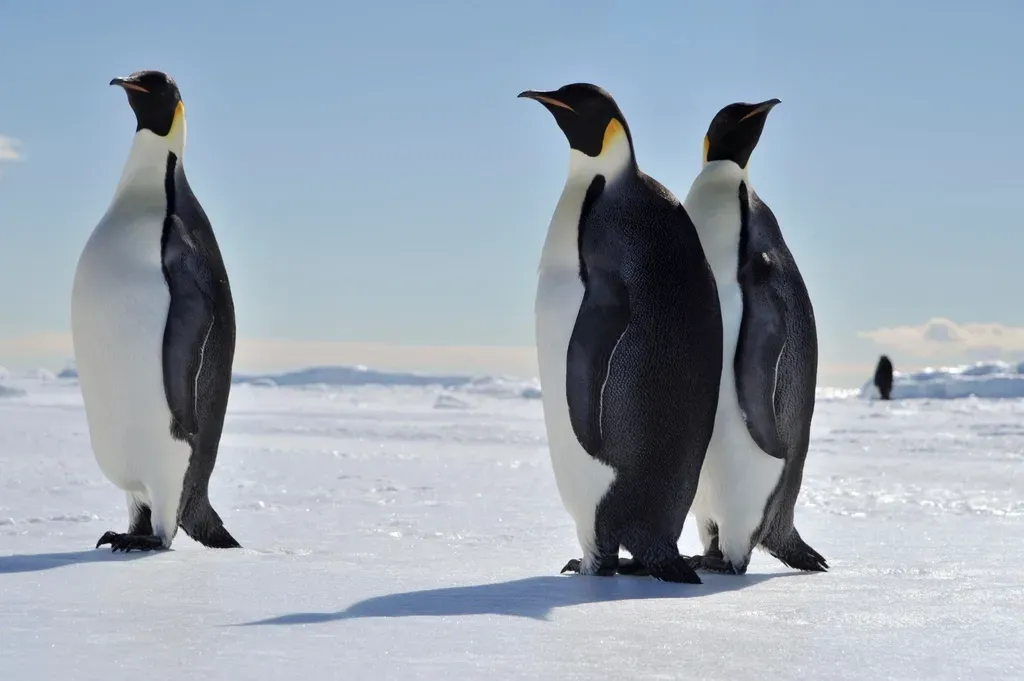 5. The Emperor Penguin: Endurance in the Coldest Place on Earth (Image Credits: Rawpixel)