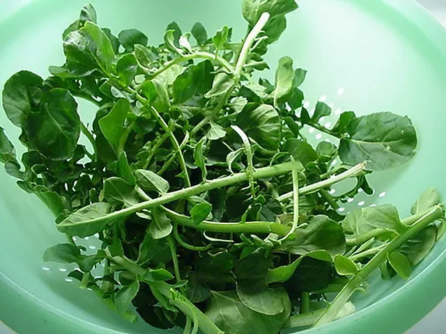 6. Bitter, Thorny Wild Greens We Softened Out of Existence (EraPhernalia Vintage . . . [''playin' hook-y''] ;o, Flickr, CC BY-SA 2.0)
