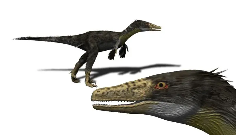 Sagittarius – Austroraptor: The Adventurous Explorer (By Nobu Tamura (http://spinops.blogspot.com), CC BY 3.0)