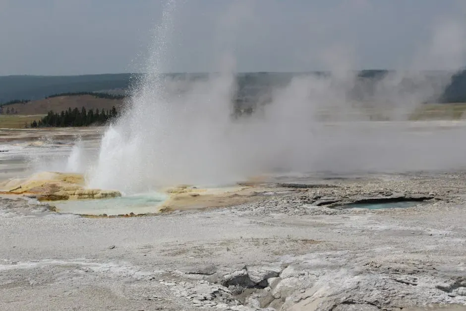Life on the Edge: Ecosystems Shaped by Fire and Hot Water (Image Credits: Pexels)