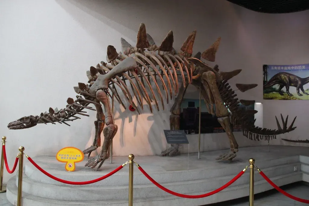 The Second Brain Controversy (Image Credits: Flickr)