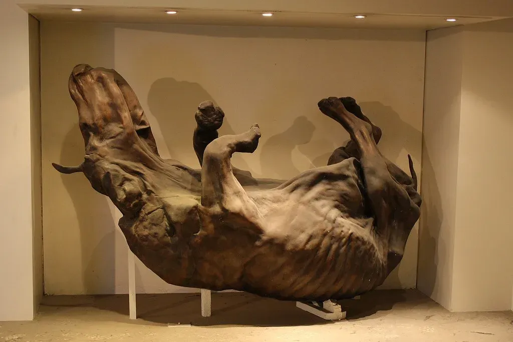 5. Perfectly Preserved Ice Age Predators and Their Prey (Rob Marson, Flickr, CC BY 2.0)