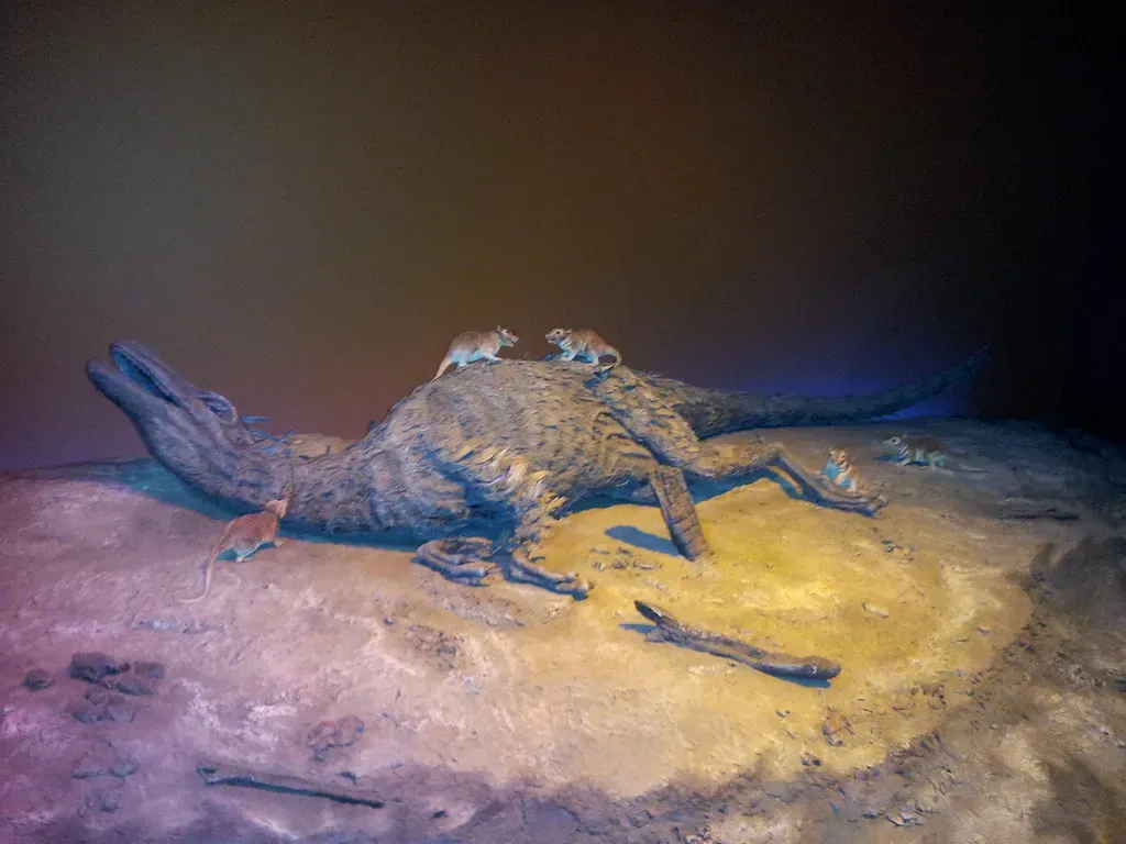 Conclusion: Lessons from Deep Time (Image Credits: Flickr)