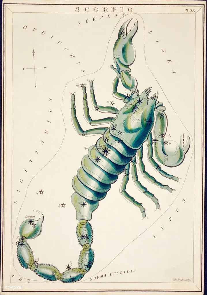 Scorpio: The Underworld Scorpion of Ancient Secrets (Image Credits: Flickr)