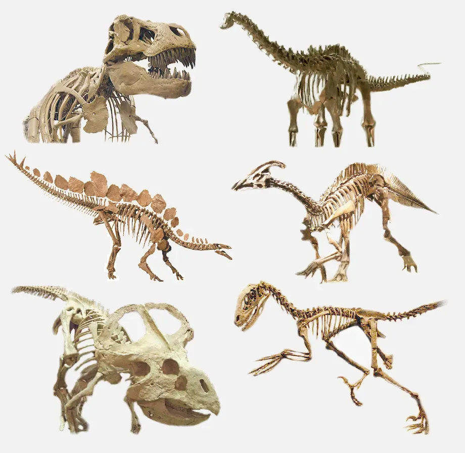 Different Dinosaurs, Different Metabolic Strategies (By Various_dinosaurs.png: Various; see individual pictures
derivative work: Hic et nunc, CC BY-SA 3.0)