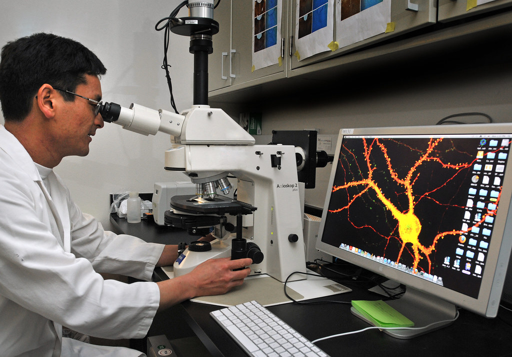 The Memory Error Detection System (Image Credits: Flickr)