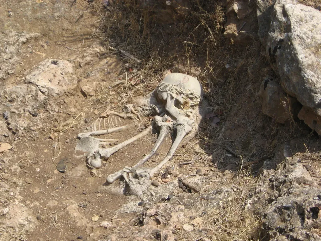 #3 - The Moment Prehistoric Burial Became a Community Project (CC BY-SA 2.5)