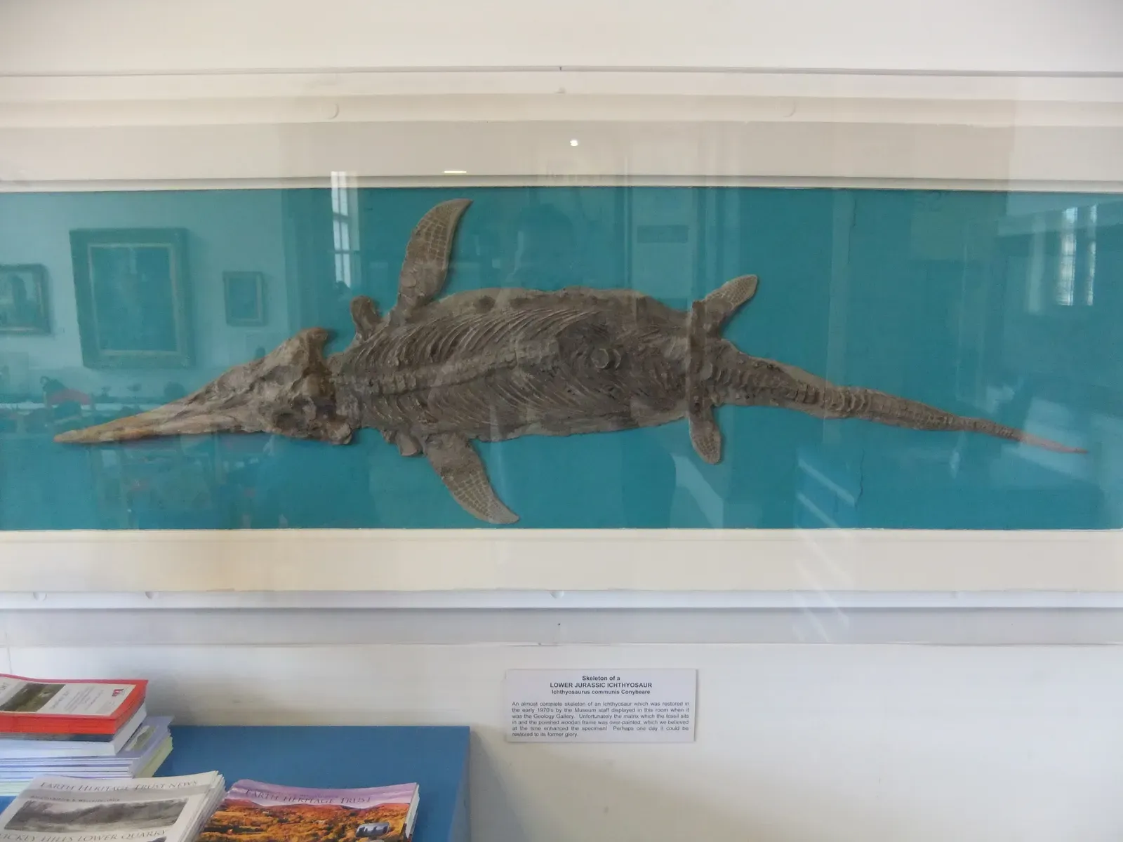 #23 - Ichthyosaurs Were Never "Sea Dinosaurs" (By Rept0n1x, CC BY-SA 3.0)